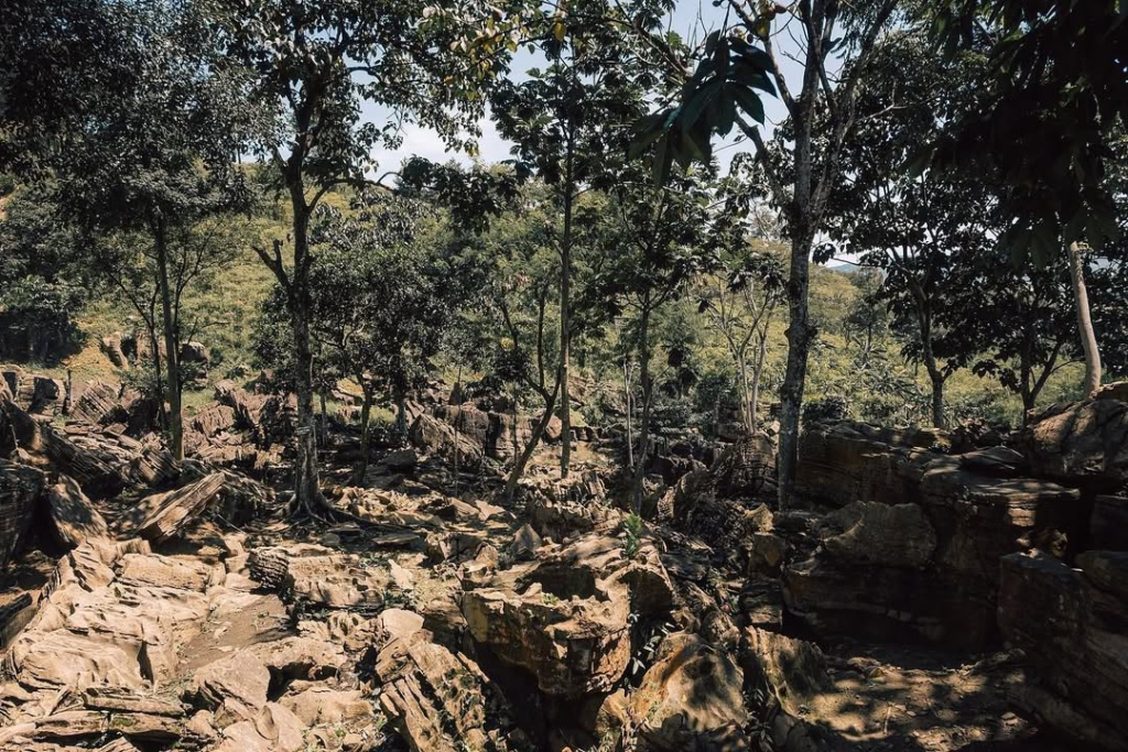 Jalur Trekking Terbaru di Sentul 2025