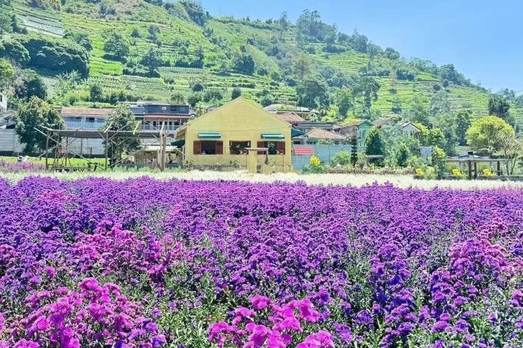 wisata di lembang terbaru