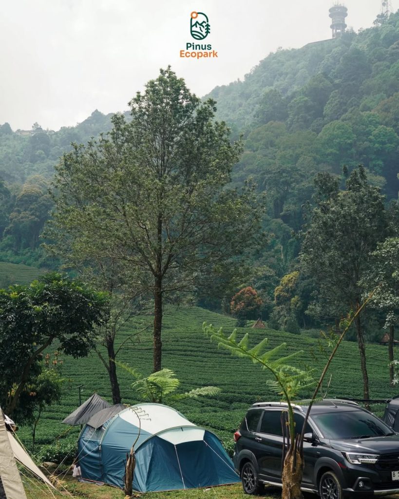 Wisata Puncak Terbaru 2025 Pinus Eco Park