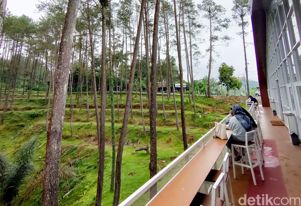 wisata kulon progo jogja