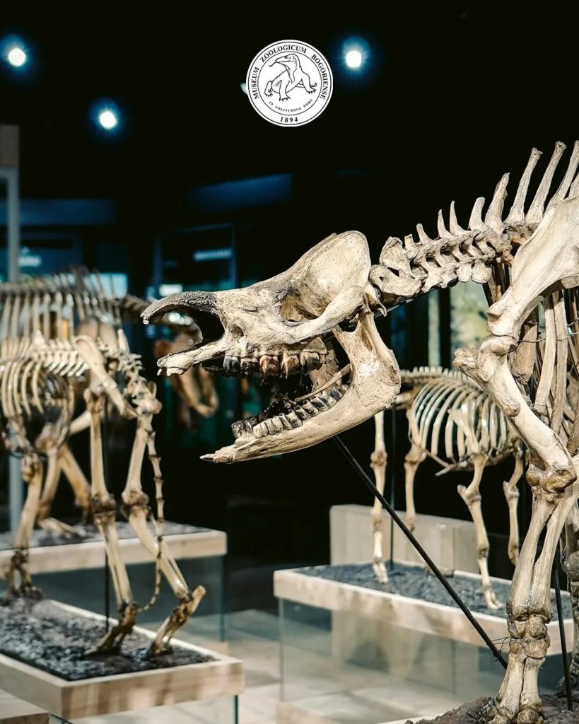 Wisata Dekat Stasiun Bogor