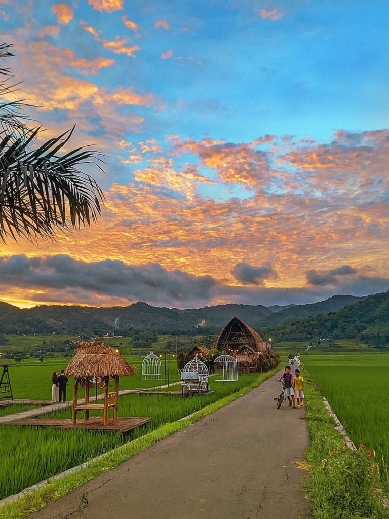 wisata kulon progo jogja