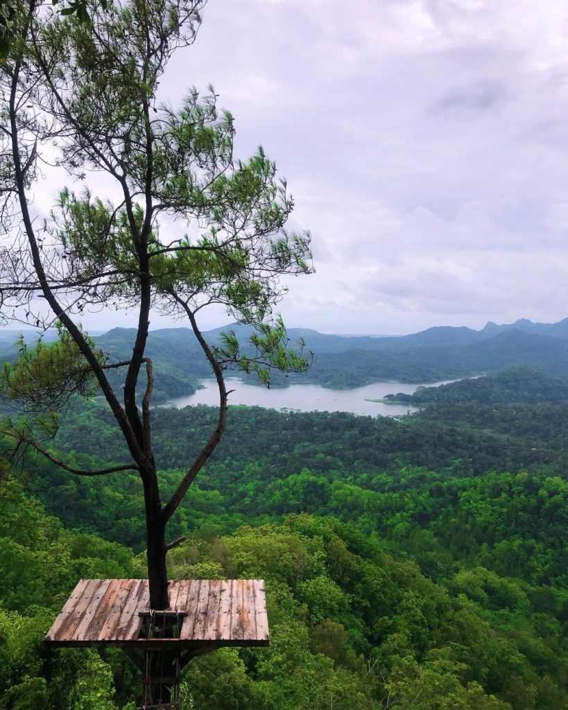 wisata kulon progo jogja