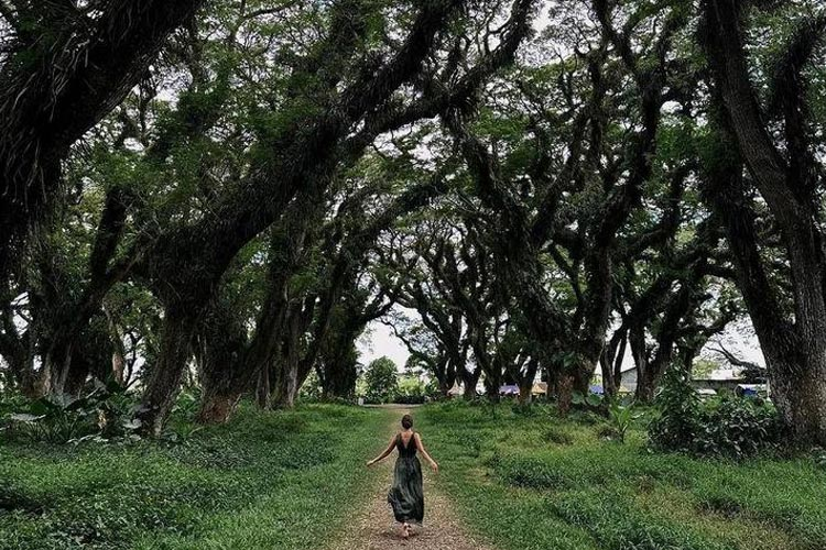 Wisata Alam Indonesia yang Wajib Masuk Bucket List 2026