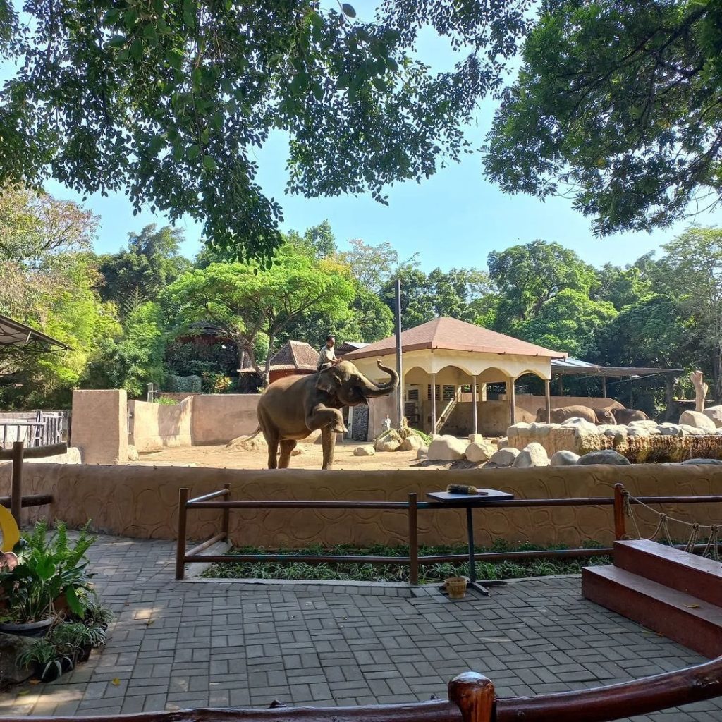 wisata dekat stasiun Lempuyangan