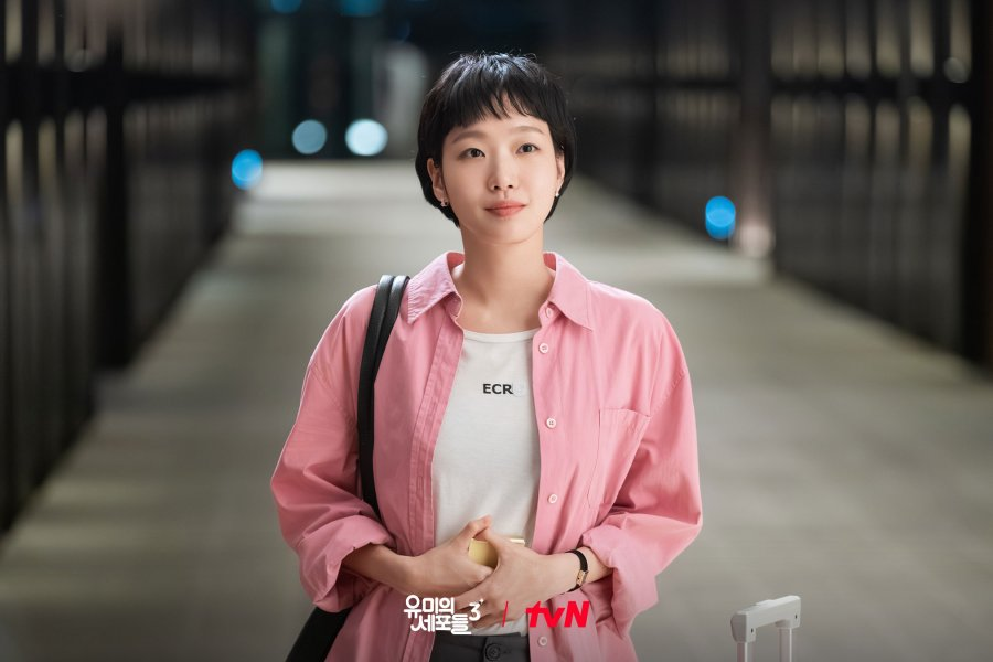 Jadwal Tayang Drakor Yumi’s Cells Season 3 Lengkap dengan Daftar Pemain dan Episode