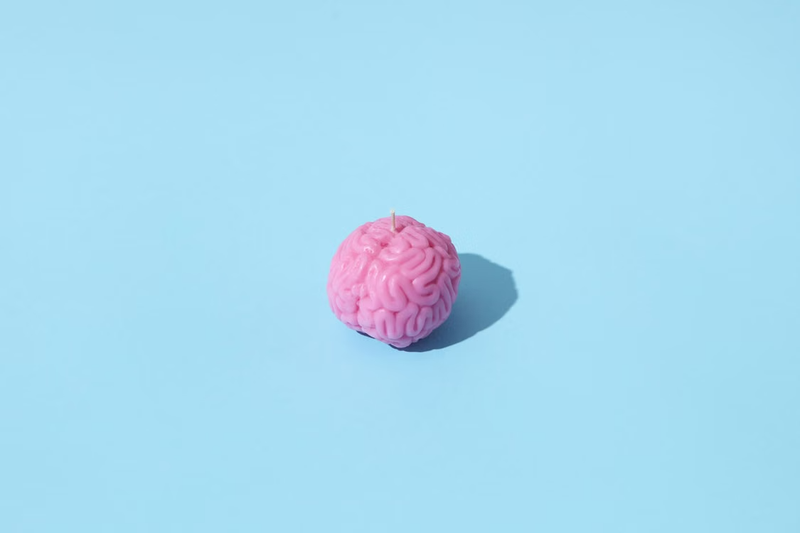 Apa Itu Brain Rot?