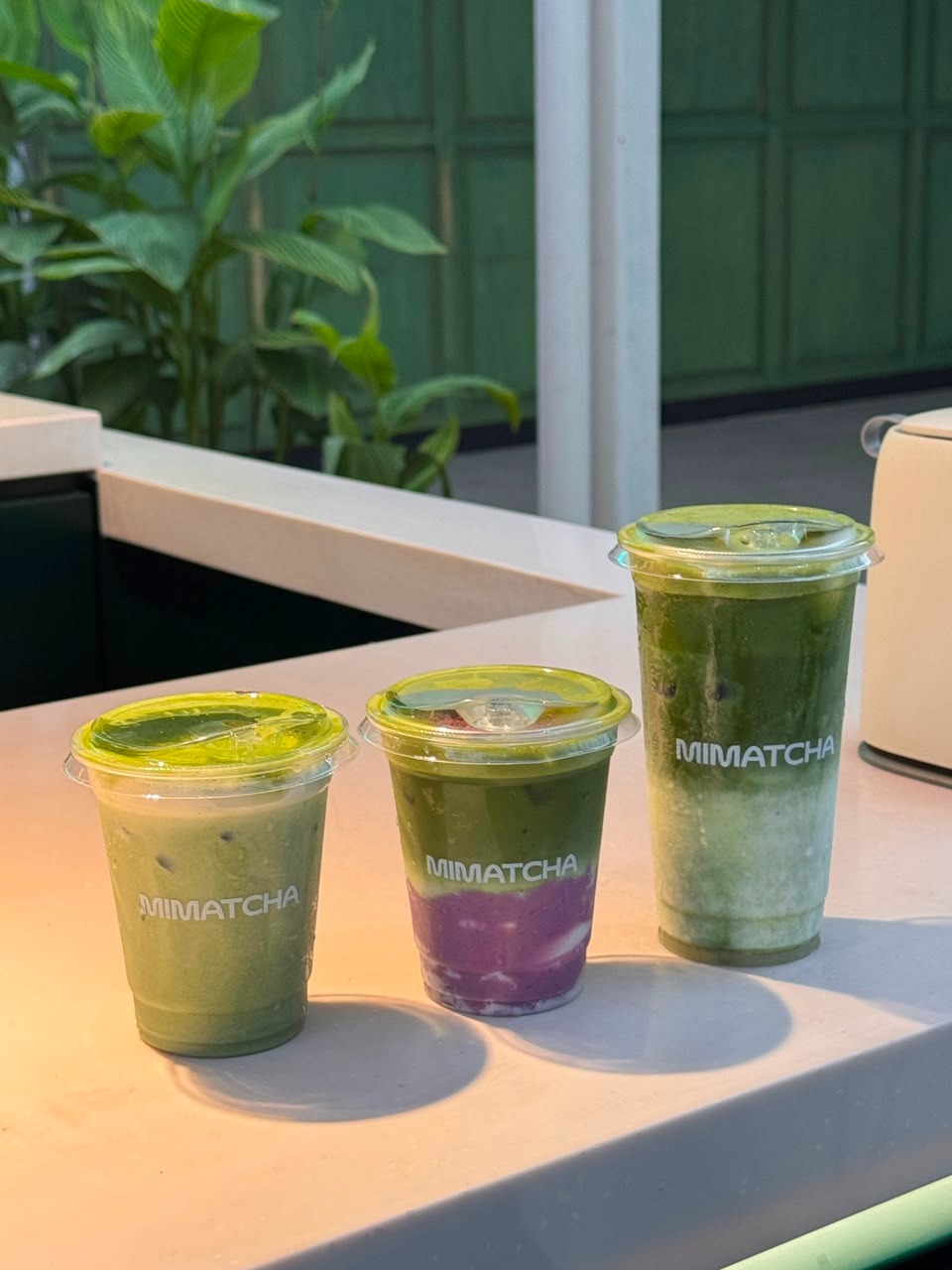 Pilihan Bubuk Matcha dan Cara Penyajian yang Bisa Disesuaikan